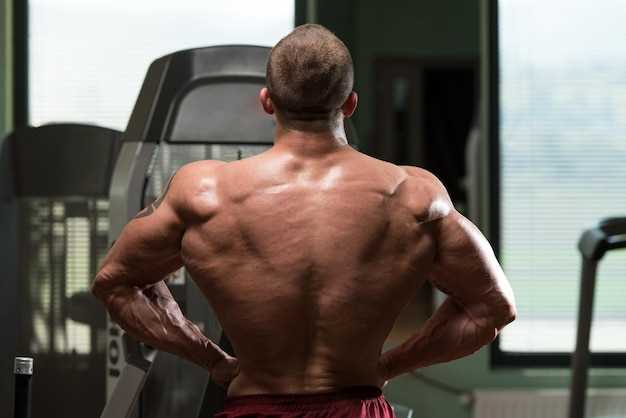 Методы тренировки для наращивания мышечной массы плеч