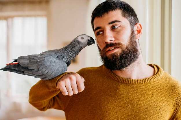Орнитоз: симптомы у людей и птиц